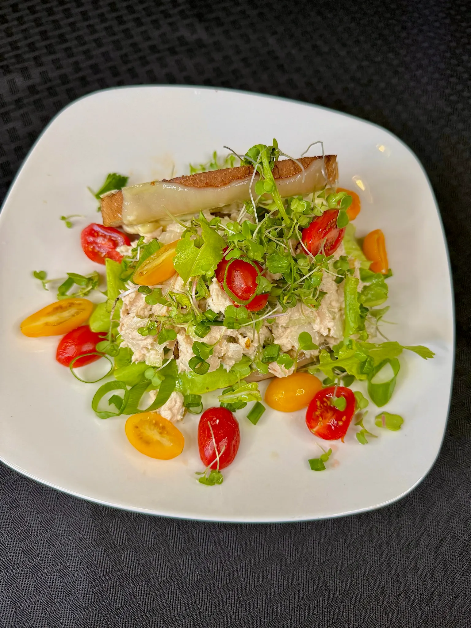 Albacore tuna salad with greens and microgreens
