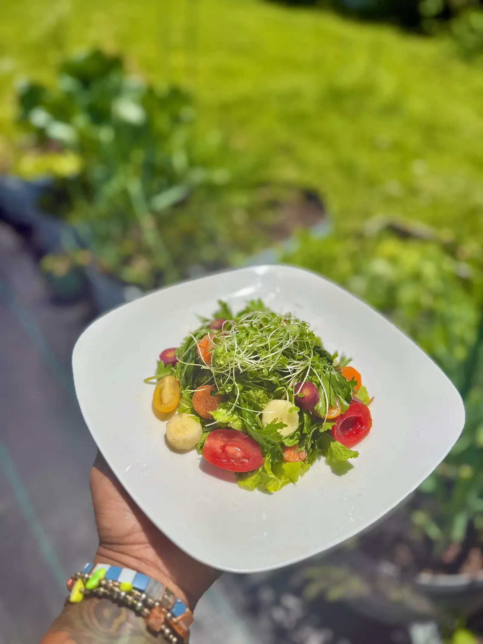 A hand holding a white plate of fresh garden salad with microgreens and cherry tomatoes, picked from the Green Salad Girl garden.